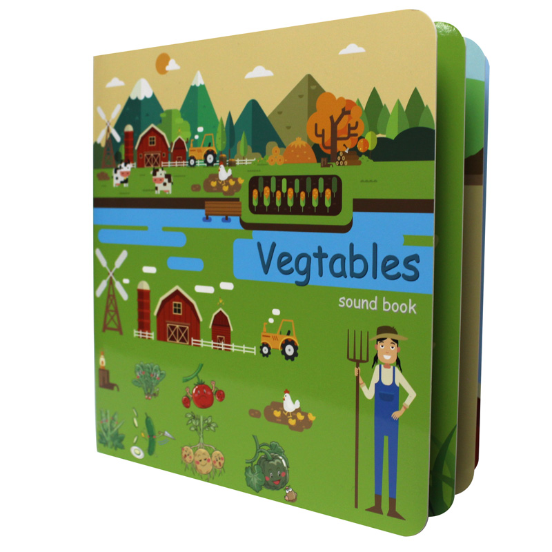 Libros de tablero personalizad - Kids Education Drawing reseña y precio